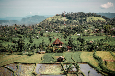 巴厘岛农村地区的小房子图片
