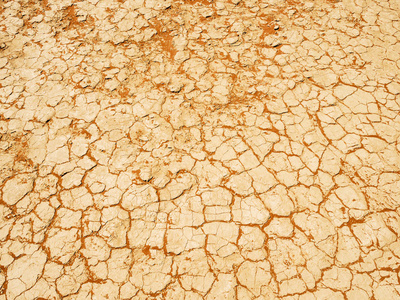 在沙漠中的沙漠中，在Sossusvlei的盐锅里被压碎了。纳米比亚国家公园，纳米比亚，非洲。在沙漠中精疲力竭的景观