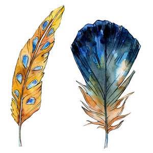 水彩橙色和蓝色鸟羽毛从被隔绝的翼。水彩画羽毛背景例证元素