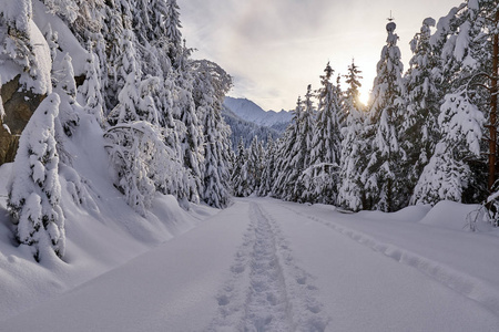 山路上积雪覆盖着脚印