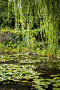 s Gardens and House at Giverny, Normandy, France