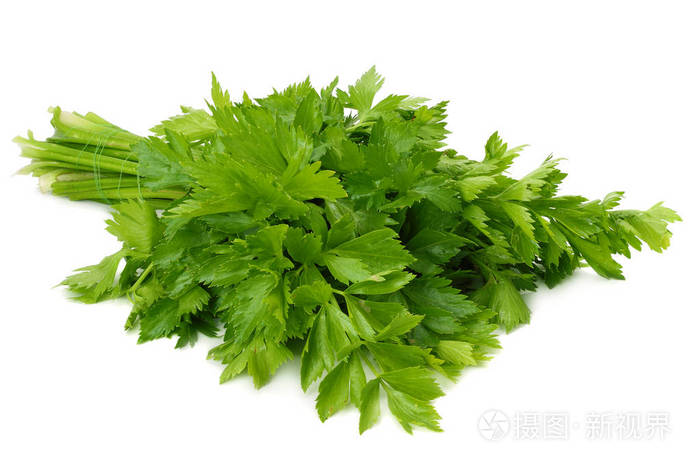 白色背景上分离的芹菜叶芹菜分离在白色上健康食品