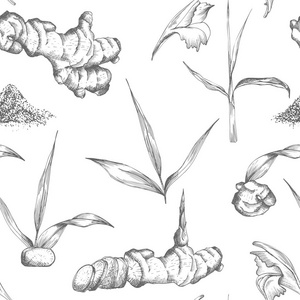 姜根墨水素描图片