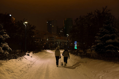 冬日的夜晚散步的图片图片