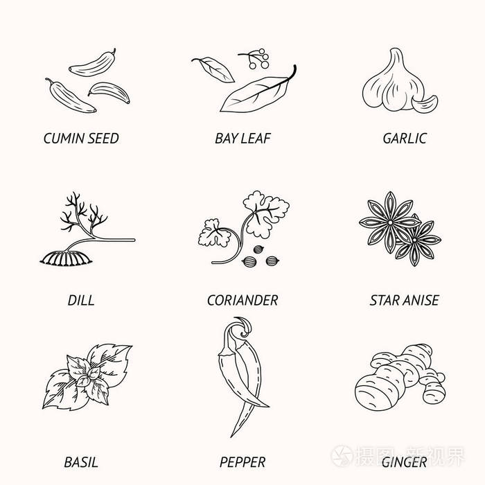 香料集, 轮廓图标插画-正版商用图片16rtyk-摄图新视界