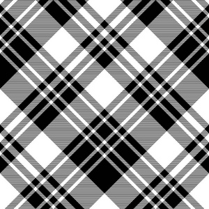 黑白格子布黑白织物纹理检查无缝图案. 矢量图.照片