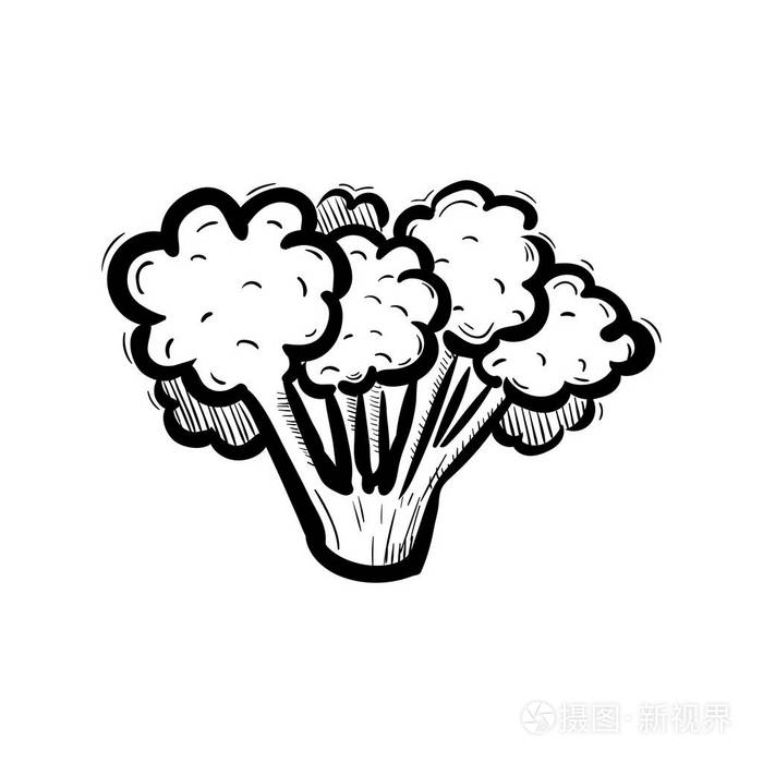 手绘西兰花涂鸦图标. 手绘黑色素描. 符号符号. 装饰元素. 白色背景.