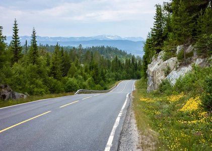 去挪威旅行。山区和公路上的森林