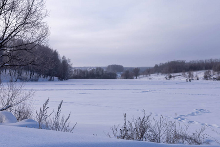 冬天阳光明媚的一天。俄罗斯楚瓦夏的田野和树木。