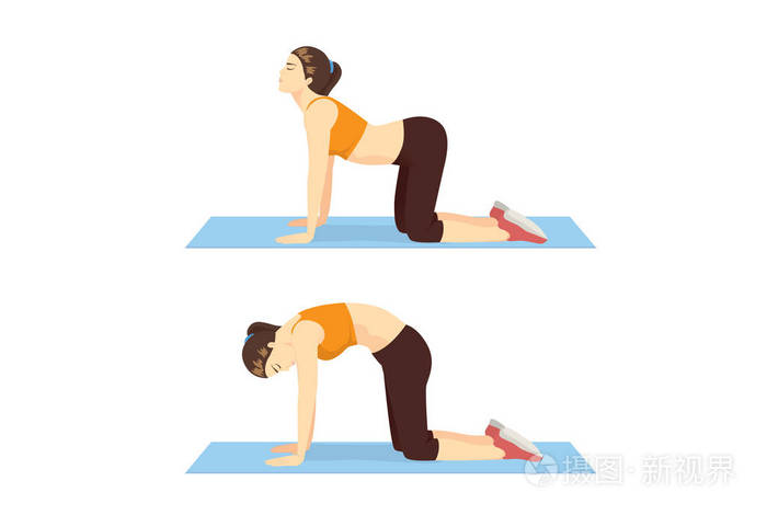 女人做猫牛锻炼在两步,以伸展背部和促进脊柱灵活性.