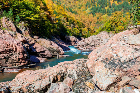 美丽的秋景，有山河和森林