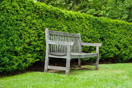 夏天花园里绿色草坪上的乡村木凳。