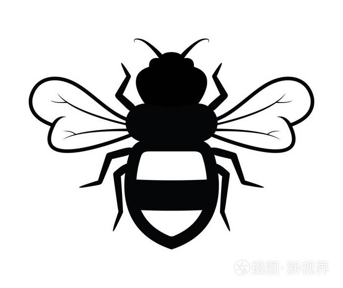 蜜蜂简单插图插画-正版商用图片16sd8g-摄图新视界