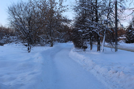 冬天森林里的雪路俄罗斯雪冬天树木之间的路照片。许多白雪躺着。清除道路。周围的树木。白天的时间。散步的时间很长。美丽的风景。