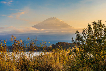 日本大林(yamanashi)日落时秋季湖泊周围有枫叶树的富士山美景照片