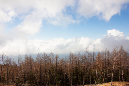 mt. 富士日本第五站雪景。