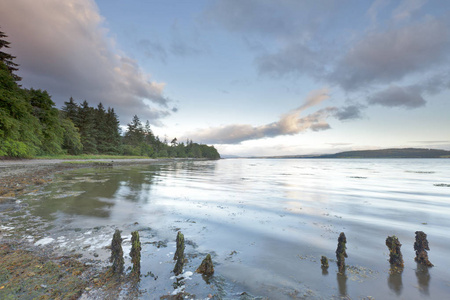 一种典型的早晨风景,来自苏格兰高地inverness附近的moray firth河岸