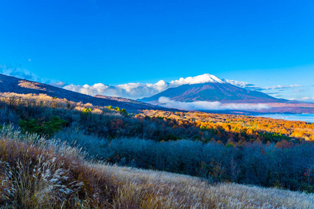 日本秋季稻子或山坂湖富士山的美丽景观