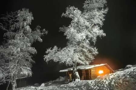 窗外明亮的木棚，旁边是一棵高大的树，在冬天的夜晚被雪覆盖