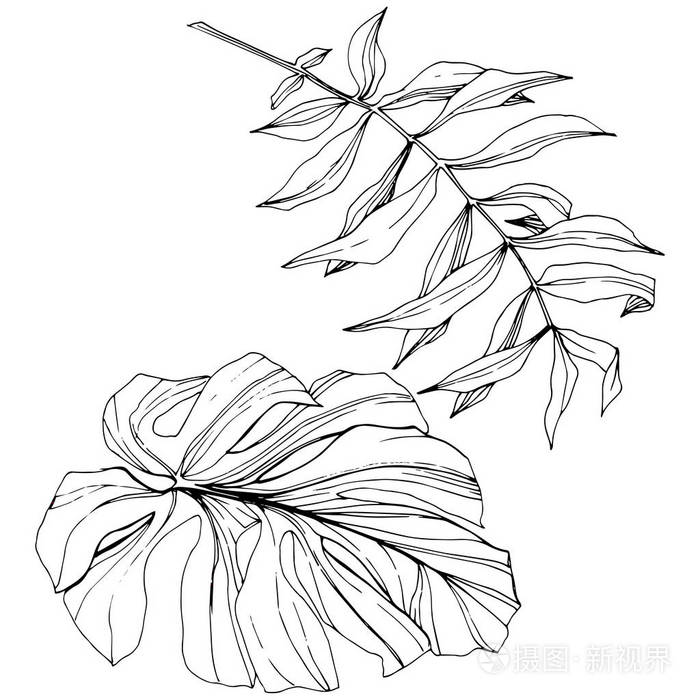 黑白雕刻水墨艺术.被隔绝的叶子例证元素