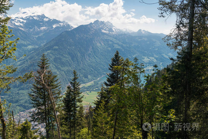 法国东部阿尔萨斯沃什山脉拉克维特周围森林的壮观秋景