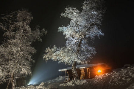 窗外明亮的木棚，旁边是一棵高大的树，在冬天的夜晚被雪覆盖