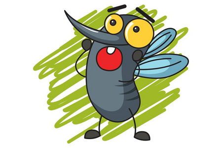 蚊子在白色图片