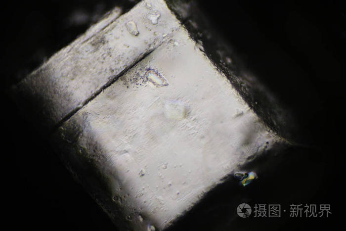 偏光显微镜下的糖晶
