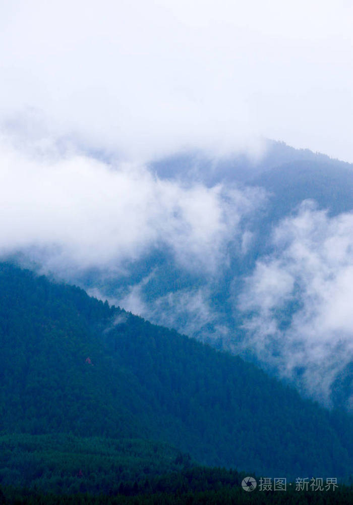 照片描绘了一座雾蒙蒙的神秘山脉雾云在松树神秘的树林早晨欧洲神秘的