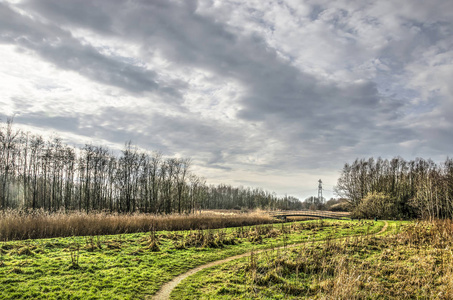 在荷兰德尔夫特市南部的林地的一个空地上蜿蜒的小径，在一个戏剧性的天空下