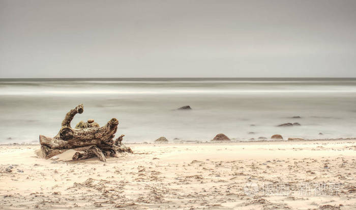 在空沙滩上被海水冲走的老树干。 锋利的石头从光滑的水位粘起来。