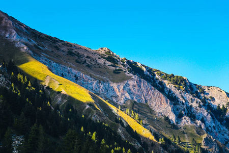 美丽的景色在高高的青山峰上的蓝天背景。 高山徒步天堂景观没有人。