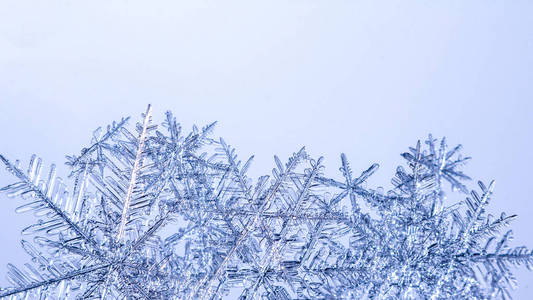 浅蓝色背景上美丽的雪花，近距离