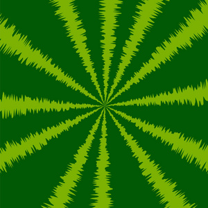 条纹绿色西瓜背景。 天然浆果图案