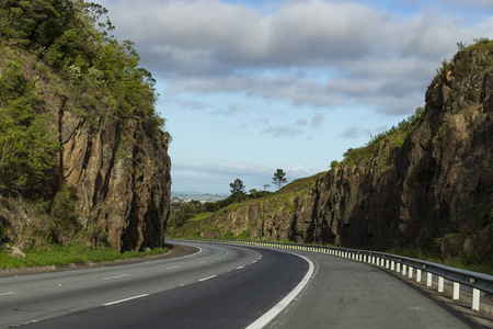 绿色布兰科图片