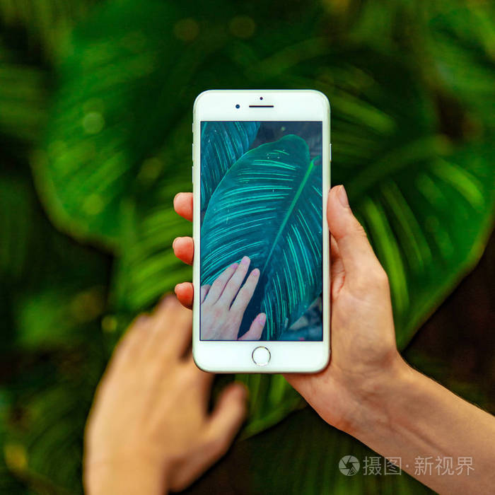 移动摄影概念.妇女手拿着智能手机和照片的花和树木的背景.景深.