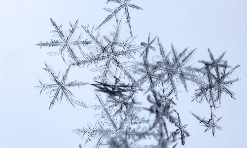 浅蓝色背景上美丽的雪花，近距离