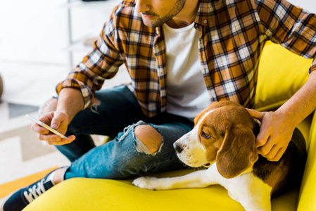 在沙发上和可爱的狗坐在一起时，男人用智能手机裁剪的视野