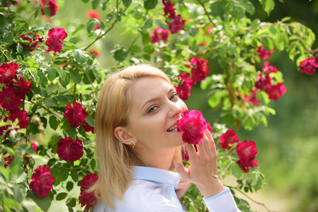 美丽的新鲜感。漂亮的女孩在开花玫瑰灌木。的女孩与红色的花在夏天的花园。可爱的女孩与花绽放。夏日花花