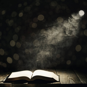 一本对月光夜城的书照片