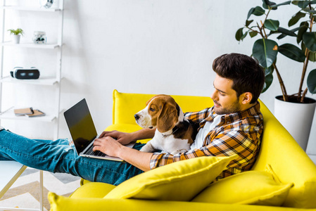 一个英俊的男人，用笔记本电脑和一只小猎犬在黄色沙发上