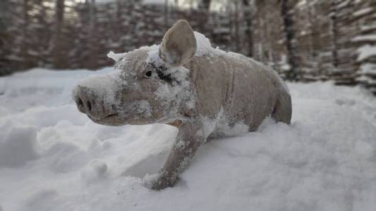 白种妈妈穿着黄大衣, 在冬季阳光明媚的日子, 在雪路上与白色婴儿马车