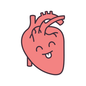 微笑的人体心脏解剖颜色图标。 心血管系统健康。 健康的内部器官。 孤立矢量插图
