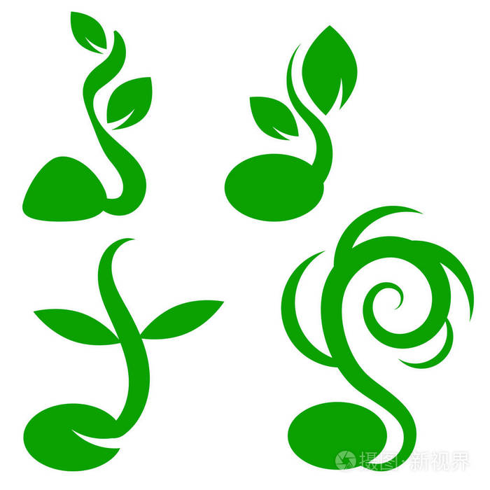 小绿芽苗从种子中发芽. 树梢