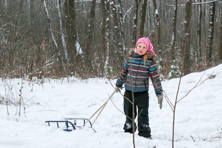 在乌克兰苏米地区的冬天松林里，小女孩用雪橇爬上一座山