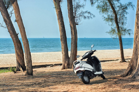在热带雨林中的海滩上骑摩托车。印度, 果阿