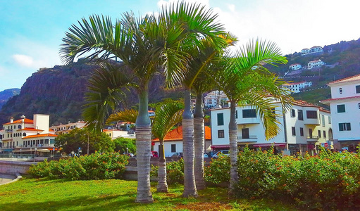 令人惊叹的景色，五颜六色的房子和棕榈树在街道上。 葡萄牙