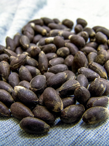 巴西苗巴西纺织品上的棉花种子照片