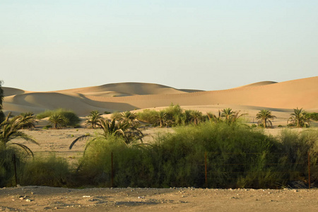 在前往冒险越野沙漠狩猎的路上，在阿布扎比附近无尽的沙漠，阿拉伯联合酋长国。