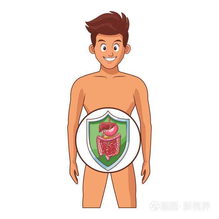 年轻的人体解剖学